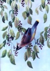 Balancing Act (Cedar Waxwing on Bird Cherries), N. Dansie  1997, oil on canvas, private collection