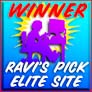 Ravi's Pick Elite Website Award